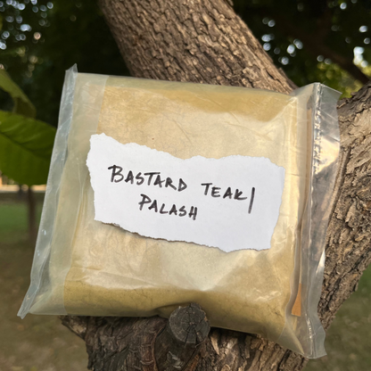 Palash Dye Powder | Eco-Friendly Orange & Yellow Textile Dye