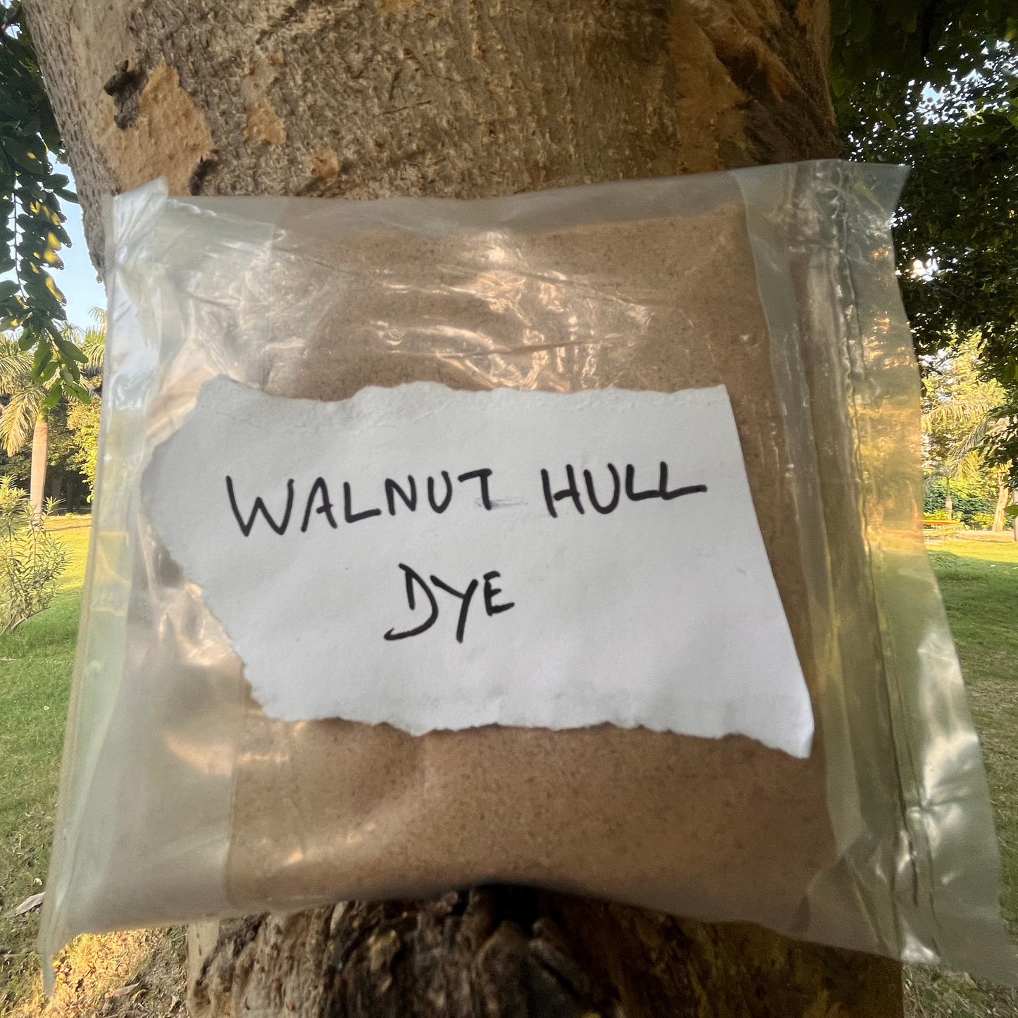 Walnut Hull Dye Powder | Natural Brown Eco Dye