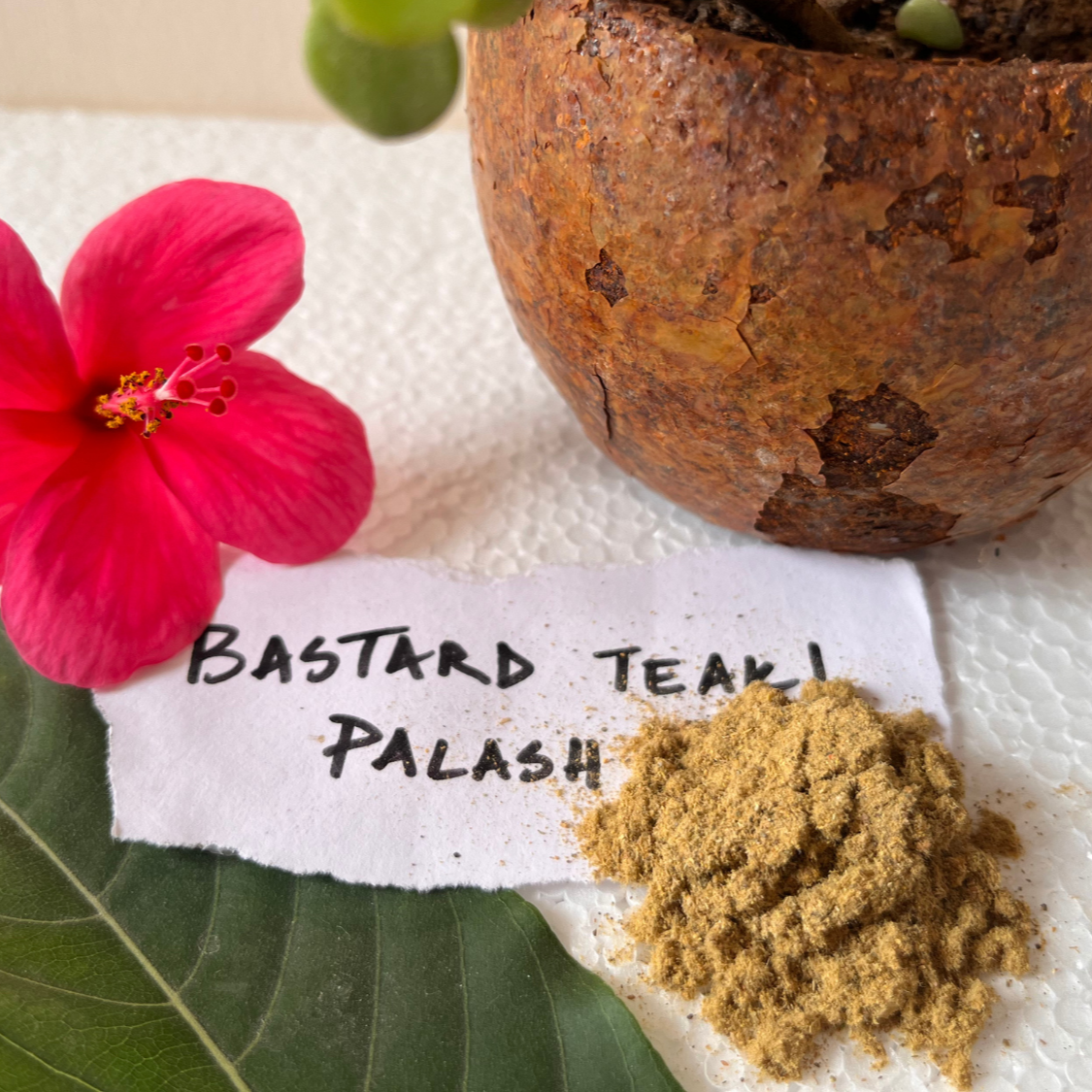 Bastard Teak Dye Powder | Natural Dye Powder for Eco-Friendly Textile Dyeing | Nacolo