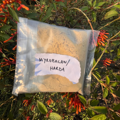 Myrobalan Dye Powder | Natural Yellow to Green Eco Dye