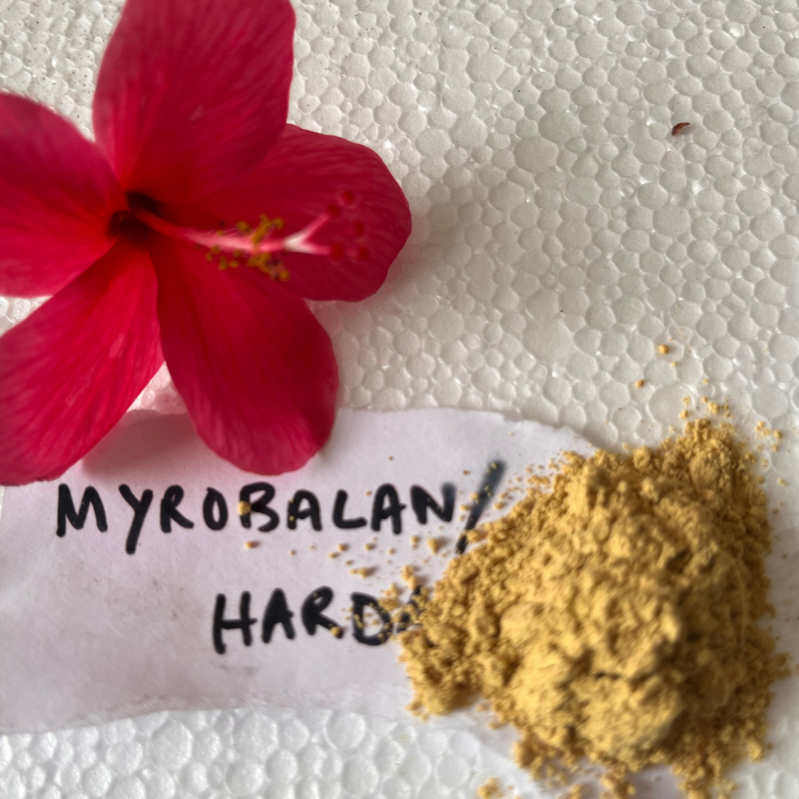 Myrobalan Dye Powder | Natural Dye Powder for Eco-Friendly Textile Dyeing | Nacolo